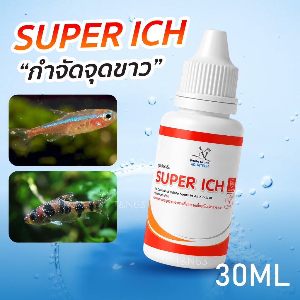Super ich สำหรับปลาสวยงาม จุดขาวในปลา