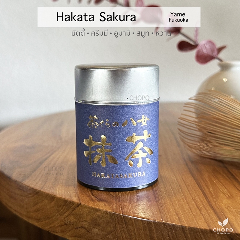 มัทฉะถั่วนัว - HakataSakura matcha มัทฉะกระปุกม่วงแปรงทองตัวดัง แพคเกจใหม่ เกรดพิธีการ Yame matcha