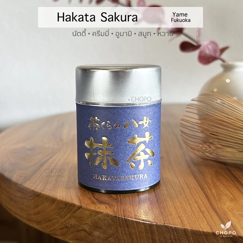 มัทฉะถั่วนัว - HakataSakura matcha มัทฉะกระปุกม่วงแปรงทองตัวดัง แพคเกจใหม่ เกรดพิธีการ Yame matcha