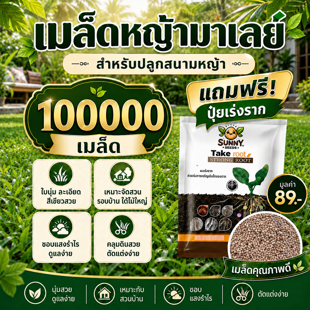 เมล็ดหญ้ามาเลย์สายพันธุ์เทียบ 100,000 เมล็ด แถมฟรีปุ๋ยเร่งราก มูลค่า 89 บาท สำหรับปลูกสนามหญ้า จัดสวน พื้นที่ร่มรำไร