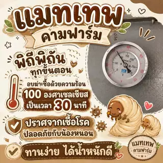 แมทเทพ คามฟาร์ม แมทสำหรับเลี้ยงหนอนด้วงทุกชนิด แบบถุงซิป บรรจุ 13 ลิตร