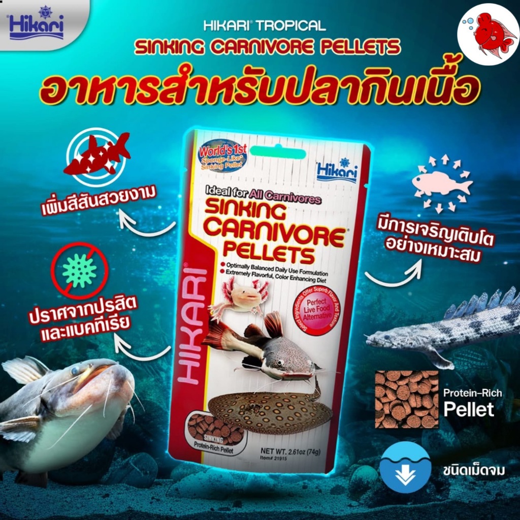 อาหารปลา ฮิคาริ Hikari Sinking Carnivore Pellets ปลากินเนื้อ ปริมาณ74กรัม ชนิดเม็ดจม เช่น ปลากระเบน 