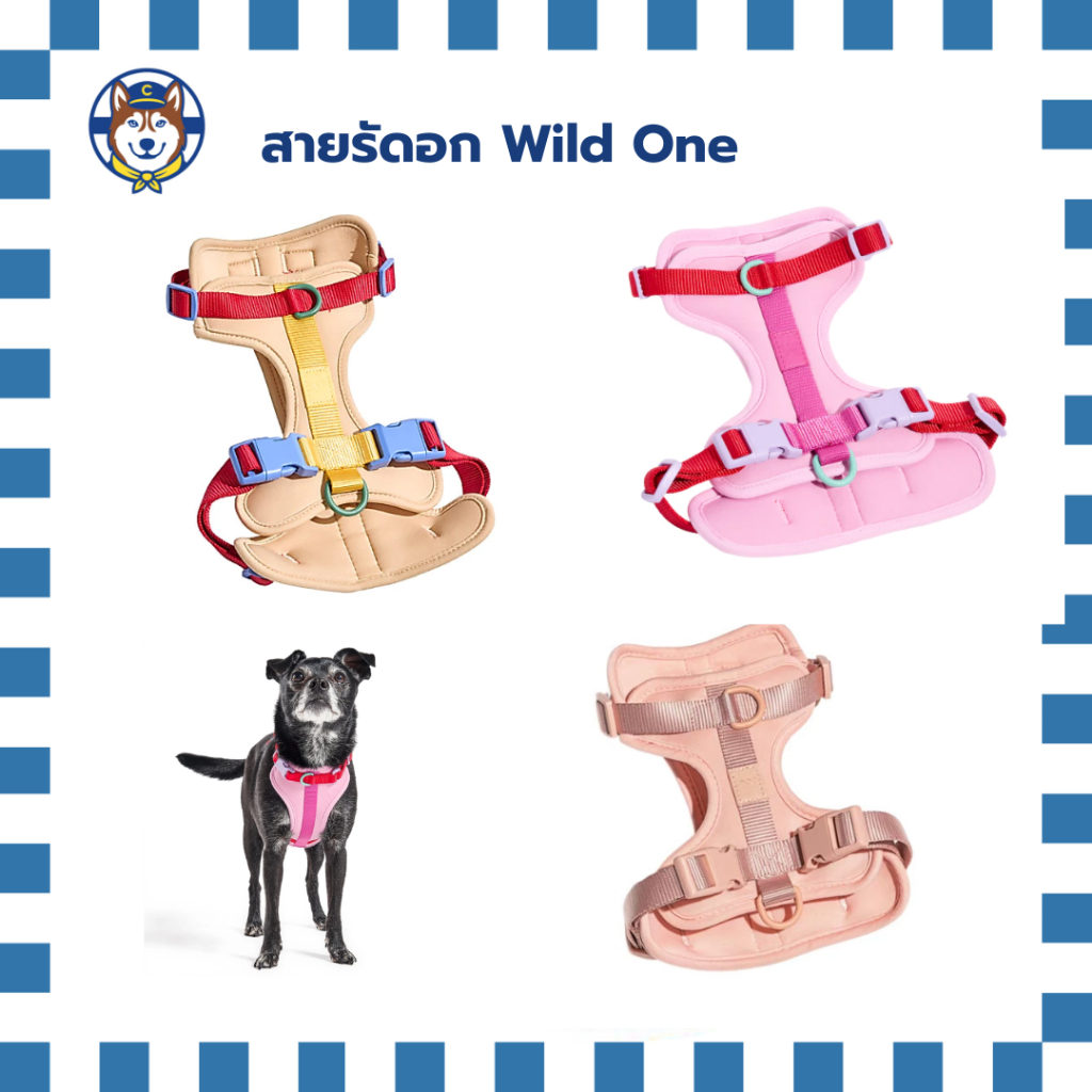 Wild One - Harness สายรัดอกสุนัข