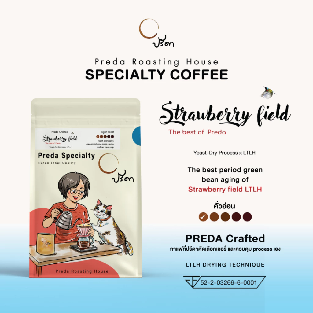 Strawberry field (เมล็ดกาแฟ LTLH คั่วอ่อน Light Roast Specialty กาแฟสตรอเบอรี่ ปรีดา)