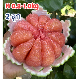 ส้มโอทับทิมสยาม0.8-1.0kgกล่อง 2 ลูก3ลูกน้ำหนักต่อลูกไม่รวมกล่อง สวนนำโชค เมืองปากพนัง