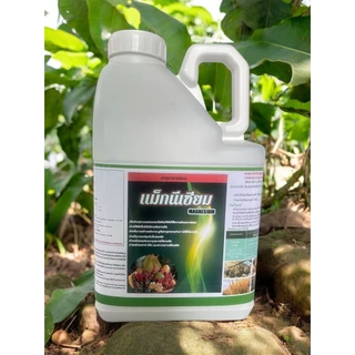 เเม็กนีเซียม 5ลิตร🌳เสริมธาตุกำมะถัน เหล็ก แมงกานีสในรูปคีเลท (EDTA)+อะมิโน ช่วยให้ใบพืชเขียวเข้มกระตุ้นการกินปุ๋ยพืชโตไว