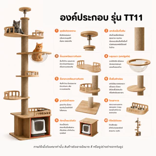 🐱[PetParadise.th]🐶คอนโดแมวติดเพดาน แท่นเสาปีนป่าย เหมาะกับเพดานสูง 260-320cm เพิ่มความสูงได้