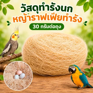 วัสดุทำรังนก หญ้าราฟเฟียธรรมชาติ สำหรับรังนก รังไก่ อุปกรณ์นกค็อกคาเทล เลิฟเบิร์ด