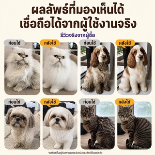 Cassiel Petแชมพูสัตว์เลี้ยง 3 in 1 กำจัดเห็บหมัด ลดอาการคัน บำรุงขนเงางาม สูตรชิลเวอร์ไอออน + สารสกัดจากพืช อ่อนโยน