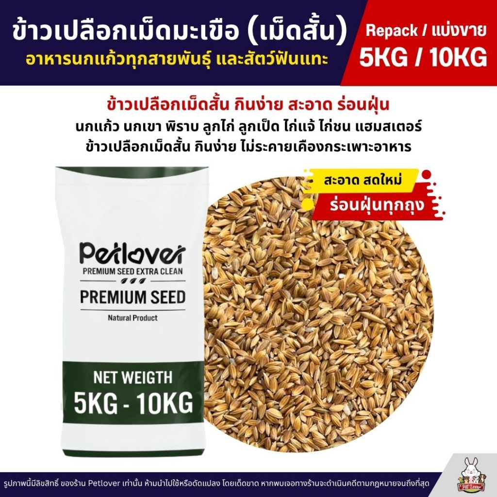 (5KG/10KG) ข้าวเปลือกเม็ดมะเขือ เม็ดสั้น อาหารนกแก้วทุกสายพันธุ์ หนูแฮมสเตอร์ ไก่ชน ไก่แจ้