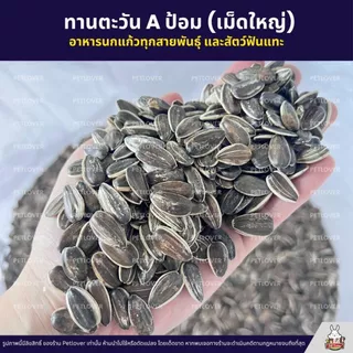 (5KG/10KG) ทานตะวัน Aป้อม เม็ดใหญ่ เกรดA อาหารนกแก้ว และสัตว์ฟันแทะ สด ใหม่ สะอาด ร่อนฝุ่นทุกถุง