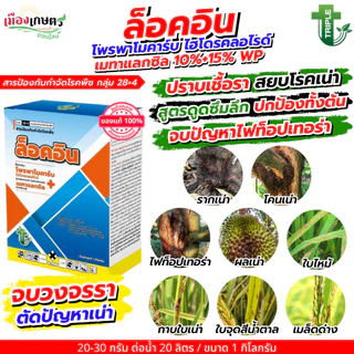 ล็อคอิน ขนาด 1 กิโลกรัม โพรพาโมคาร์บ + เมทาแลกซิล 10+15% wp โรคพืช เชื้อรา แบคทีเรีย ใบเน่า รากเน่า โคนเน่า ใบไหม้ ใบจุด