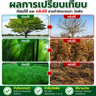 🌲ยาฆ่าต้นไม้ใหญ ยาฆ่าหญ้า รากเน่ารากไม่ขึ้นอีก ยาฆ่าตอไม้ สารกําจัดกอไผ่ แบบผง สานกำจัดกอไผ่ วัชพืช