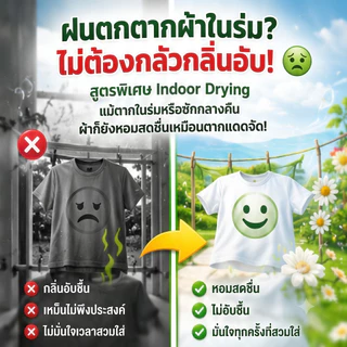 SURE 4 in 1 ผงซักฟอก ชัวร์ 9000g พร้อมช้อน ถังผงซักฟอกถังใหญ่ สูตรเข้มข้น ซักผ้า