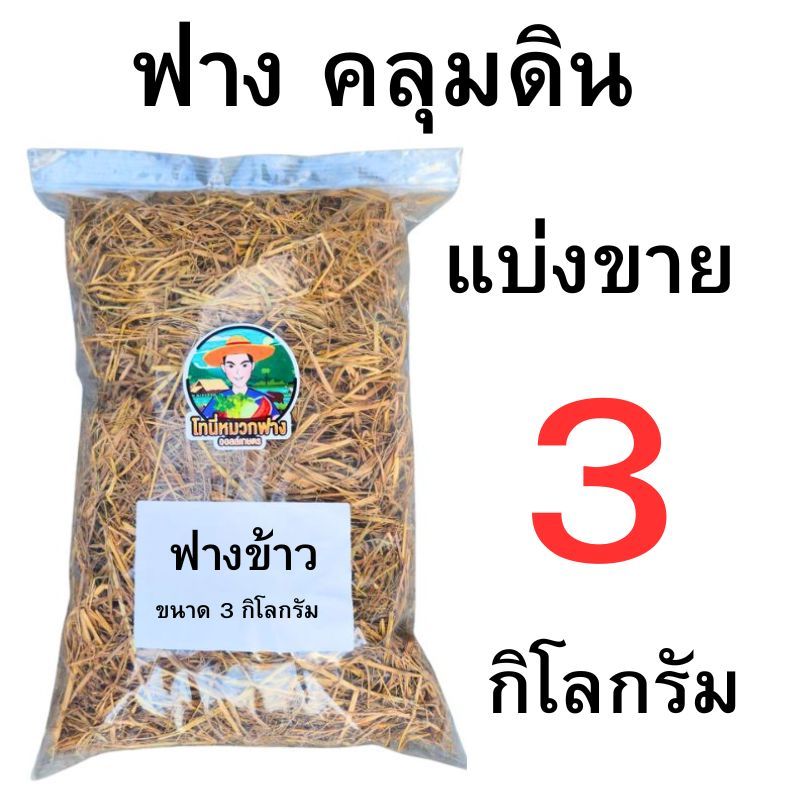 ฟาง ฟางแห้ง ฟางคลุมดิน 100 กรัม - 3 กิโลกรัม คุณภาพดี ราคาถูก