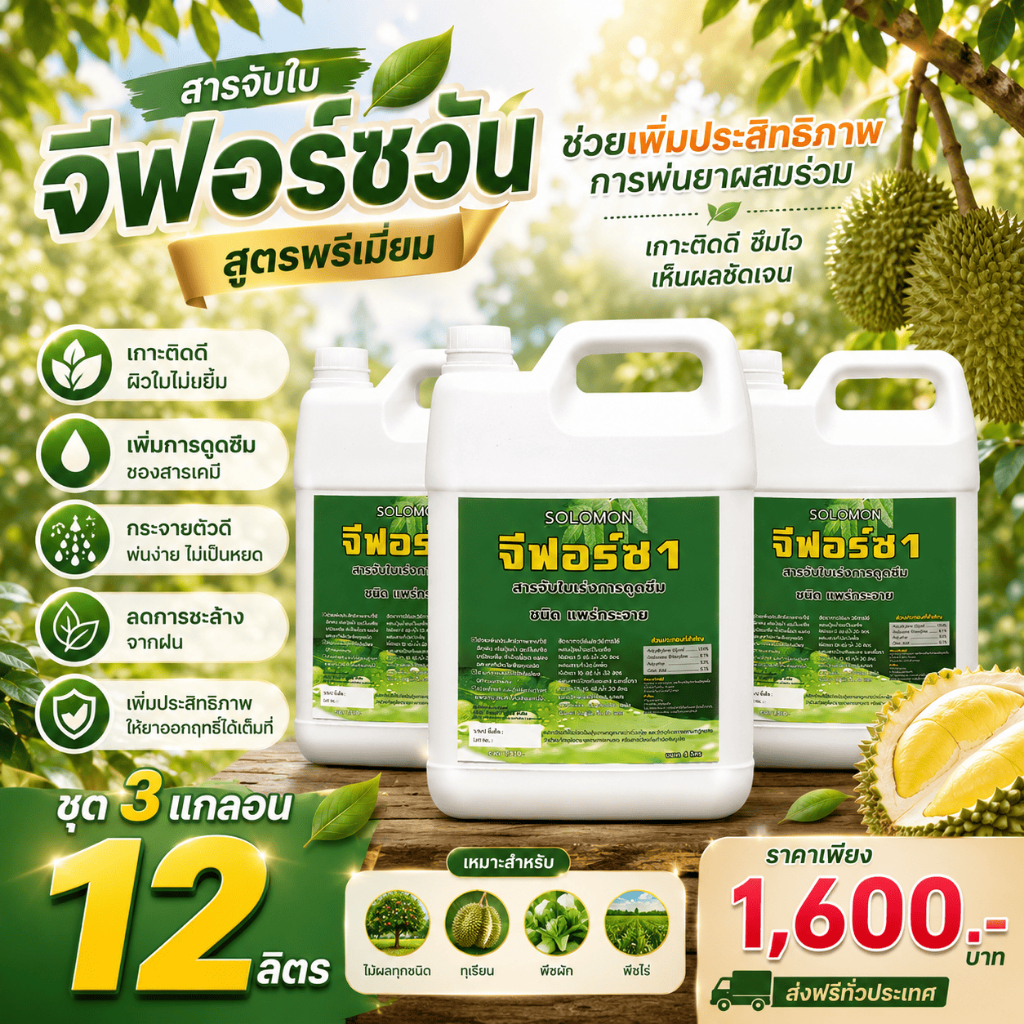 จีฟอร์ซวัน สารจับใบ (12ลิตร) ช่วยเพิ่มประสิทธิภาพปุ๋ยน้ำ ฮอร์โมน และยาป้องกันแมลง 4ลิตร 3แกลอน รวม12ลิตร