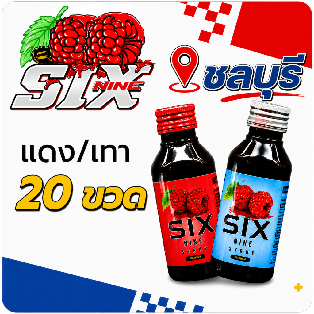 20 ขวด six nine ไซรัป SIX-NINE น้ำหวานเข้มข้น กลิ่นหอมหวานแท้ มี2สูตร ฝาเทาและฝาแดง