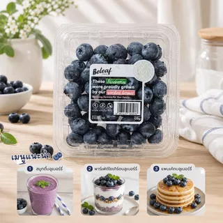 [สินค้าส่งด่วน] บลูเบอร์รี่สด แพ็คละ 125 กรัม BLUEBERRY PACK 125 G