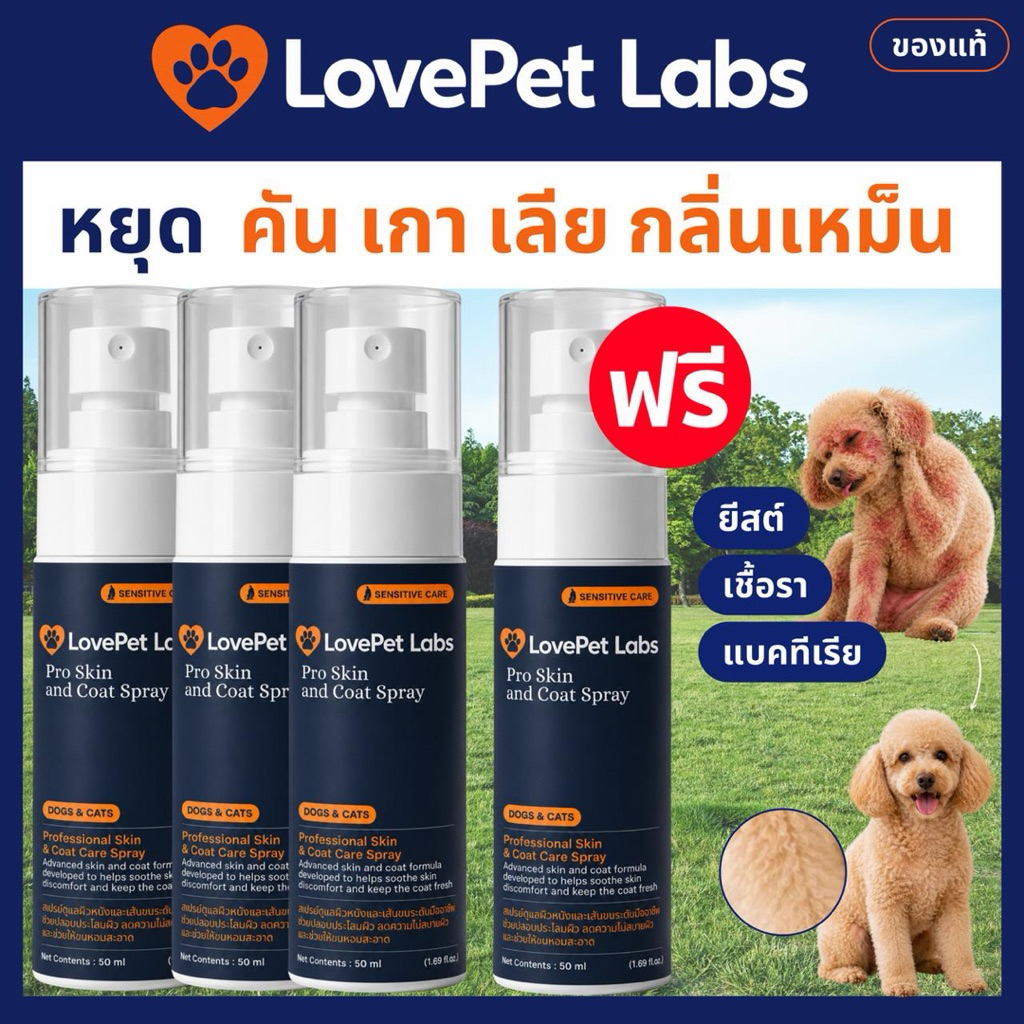 [โปร 3 ฟรี 1] สเปรย์ผิวหนังสุนัข ช่วยลดแบคทีเรีย คันเกากลิ่น ผื่นผิวแดง เชื้อรา ยีสต์ ปลอดภัยสูตรนาโนเข้มข้น