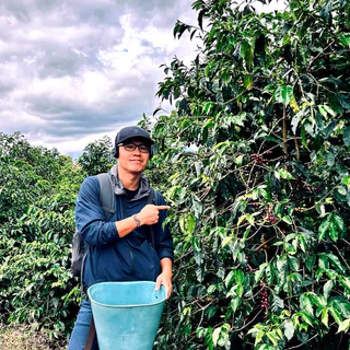 [ Strawberry Jam ] เมล็ดกาแฟคั่วอ่อน ปางขอน | Magpie Farm | Natural SCM | Omni Roast