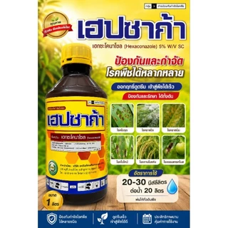 เฮปซาก้า ยกลัง 12 ขวด ขนาด 1 ลิตร เฮกซะโคนาโซล 5%SC หวีทอง ราแป้ง ราดำ แอนแทรทคโนส เน่า ใบจุด เมล็ดด่าง สูตรเย็น