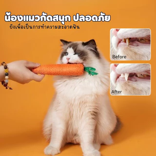 แครอท ของเล่นแมว สีสันสดใส ของเล่นสำหรับสัตว์เลี้ยง ของเล่นแบบขัดฟัน ลับเล็บแมว cat toy พร้อมส่ง
