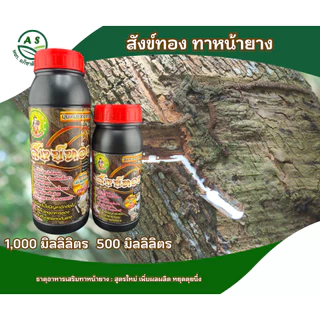 สังข์ทอง ขวดใหญ่ ยาทาหน้ายาง สูตรเข้มข้น สำหรับยางตายนึ่ง / ยางอายุ 15 ปี+ เพิ่มน้ำยาง ยางก้อน ยางพารา [3040]