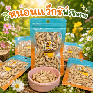 🥥🐛 ดวงสาคู หนอนแว๊กซ์ ด้วงมะพร้าว หนอนด้วง ฟรีซดราย ด้วงอบแห้ง สำหรับสัตว์เลี้ยง ชูการ์ กระรอก แฮมสเตอร์ บุชเบบี้