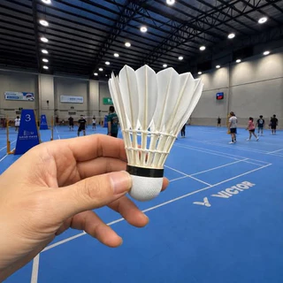 ลูกแบดมินตัน Fighter Speed75 : แพ็ค 1-5 หลอด : NewGen2 ทนทาน วิถีดี 1 หลอดบรรจุ 12 ลูก
