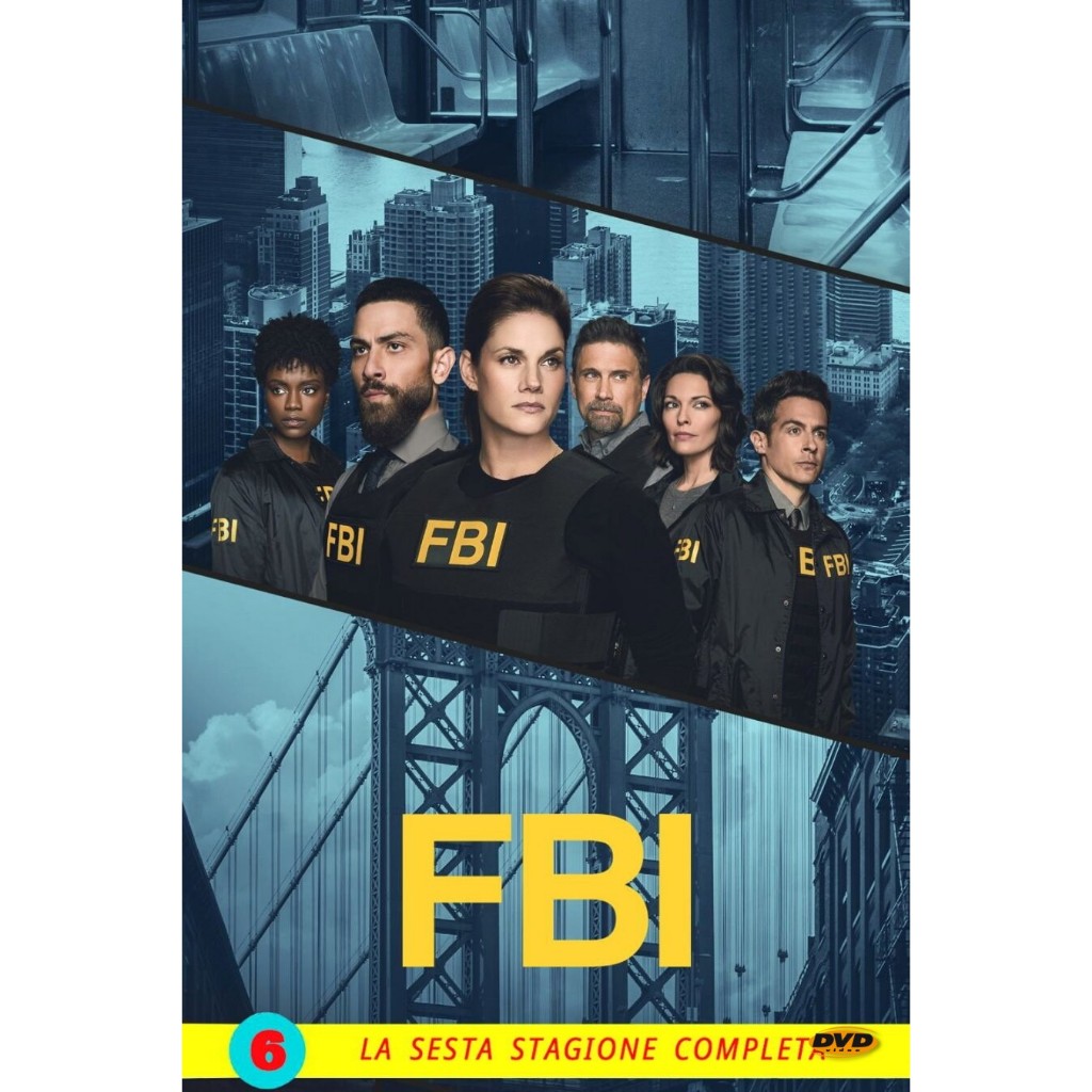 DVD หนังใหม่ FBI Season 6