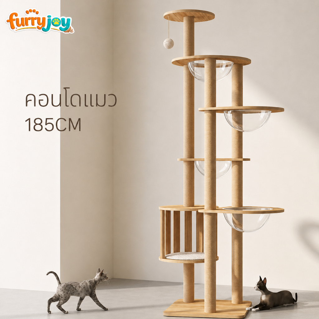[FurryJoy]คอนโดแมวไม้ยางพารา ทรงสูง ประหยัดพื้นที่ พร้อมบ้านแมว แคปซูลใส เสาลับเล็บแมว ที่นอนแมว คอนโดแมวขนาดใหญ่
