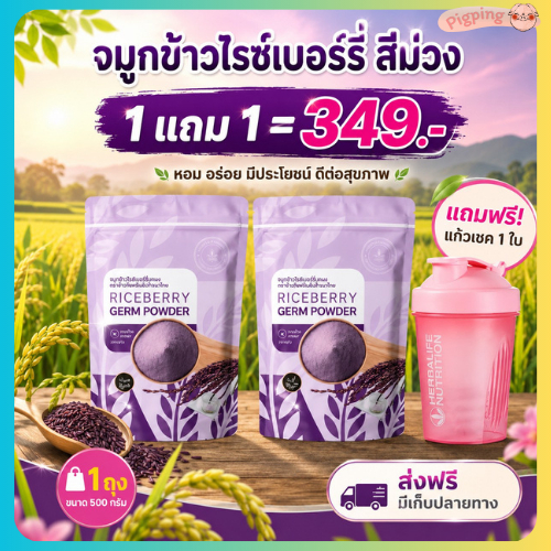 จมูกข้าวไรซ์เบอร์รี่ 500gX2แถมแก้ว🥛 #บดผง หอม อร่อย สุขภาพด