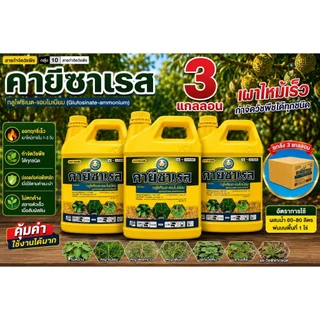 คายีซาเรส ขนาด 4 ลิตร เซท 3 แกลลอน