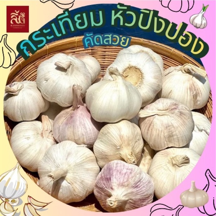 กระเทียมปิงปอง (คัดพิเศษ) กลีบใหญ่