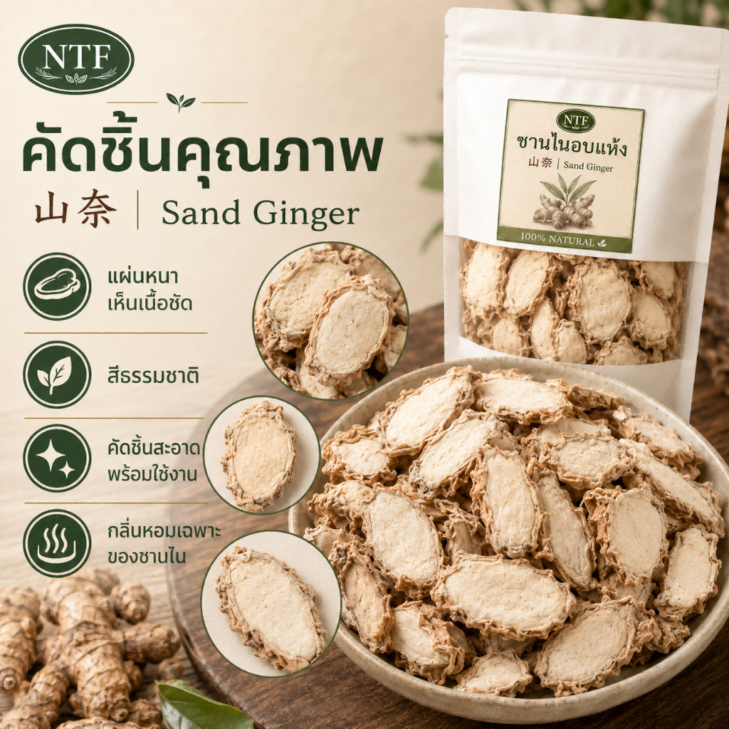 เปราะหอมแห้ง ว่านเปราะหอม ซำหลี 山奈 Sand Ginger แบบแว่น สำหรับปรุงอาหาร ต้มซุปและทำเครื่องเทศ พร้อมส่งจากไทย
