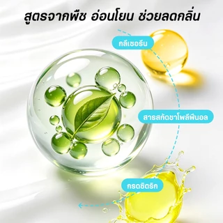 PetStern 50 ชิ้น แผ่นเช็ดหินปูนสัตว์เลี้ยง แผ่นขัดฟันสุนัขและแมว ลดคราบหินปูน ทำความสะอาดฟัน กำจัดกลิ่นปาก