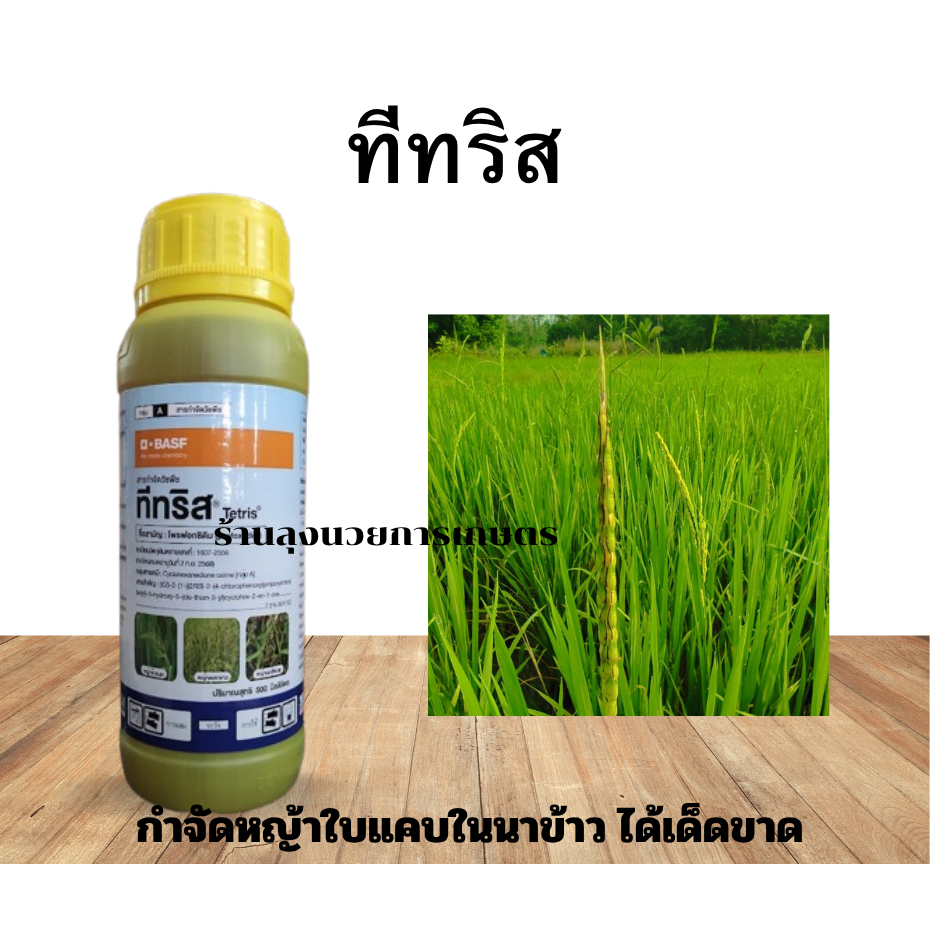 ทีทริส 500ซีซี โพรฟอกซิดิม 7.5%EC สารกำจัดหญ้าใบแคบในนาข้าว เช้น หญ้ากระดูกไก่ หญ้าข้าวนก หญ้าดอกขาว