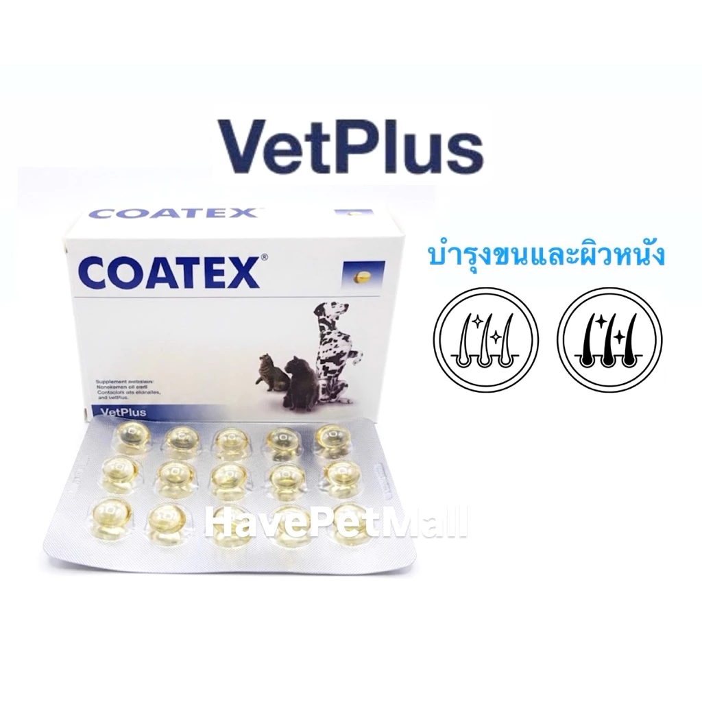 Coatex อาหารเสริมชนิดเม็ดซอฟท์เจล บำรุงขนและผิวหนัง สุนัขแมว (skin&coat)