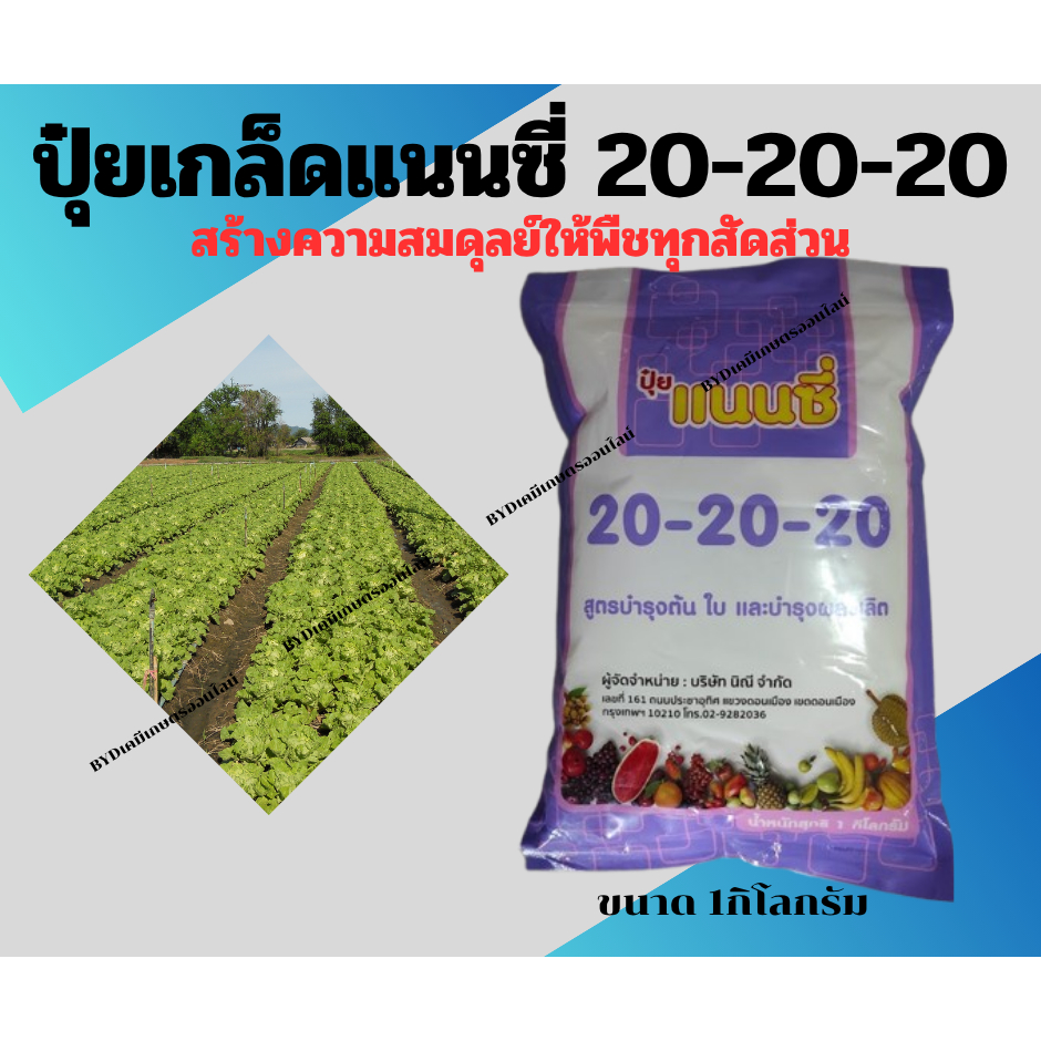 ปุ๋ยเกล็ดแนนซี่ สูตร20-20-20 ปุ๋ยเกล็ดสูตรเสมอ เสริมความสมบูรณ์ให้พืชในทุกสัดส่วน