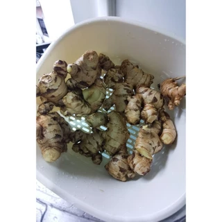 ขิงสด ขิงแก่ แม่ขิง ทำกับข้าว น้ำขิง ข้าวมันไก่ คละไซส์ หอมเผ็ดร้อน ส่งจากสวนเมืองเลย (ติดดินไม่ได้ล้างกันชื้นเน่าเสีย)