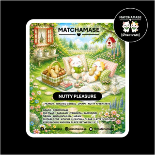 NUTTY PLEASURE MATCHA - MATCHAMASE มัทฉะมาเสะ
