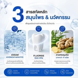 PONTINA ยาสีฟัน พี่ก้อง ห้วยไร่ PREMIUM BOTANICAL WHITE พรทิน่า ลมหายใจสดชื่น ( สูตรใหม่!! หลอดสีฟ้า ) 1แถม1