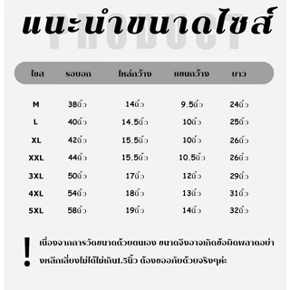 XWbrand เสื้อยืดคอกลมรุ่นใหม่ปี 2026 จัดส่งจากประเทศไทย ดีไซน์คอเสื้อน่ารักหวานๆ มีให้เลือก 4 สี ห้ามพลาด