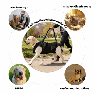 ผ้าพยุงสุนัขแบบยกทั้งตัว สายรัดพยุงสัตว์เลี้ยง อุปกรณ์ฟื้นฟูสุนัข ชนิดสวมขา ผ้าระบายอากาศ ใส่ได้นาน สำหรับสุนัขแก่