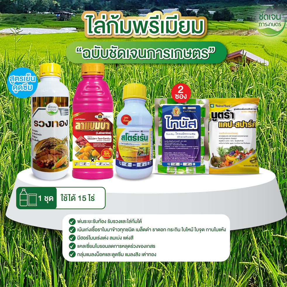 ชุดไล่ก้มพรีเมียม(สโตร์เร้น) เน้นเชื้อราทุกชนิด เน่าคอรวง ราดอกกระถิน ราเมล็ดด่าง ใบไหม้ใบจุด 1 ชุด 10-15 ไร่