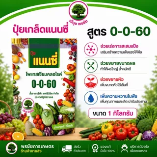 ปุ๋ยเกล็ด แนนซี่ มีครบทุกสูตร ขนาด บรรจุ1 กิโลกรัม 1 ถุงใช้ได้ 5-10 ไร่ ผสมน้ำ 200 ลิตร/1 ถุง