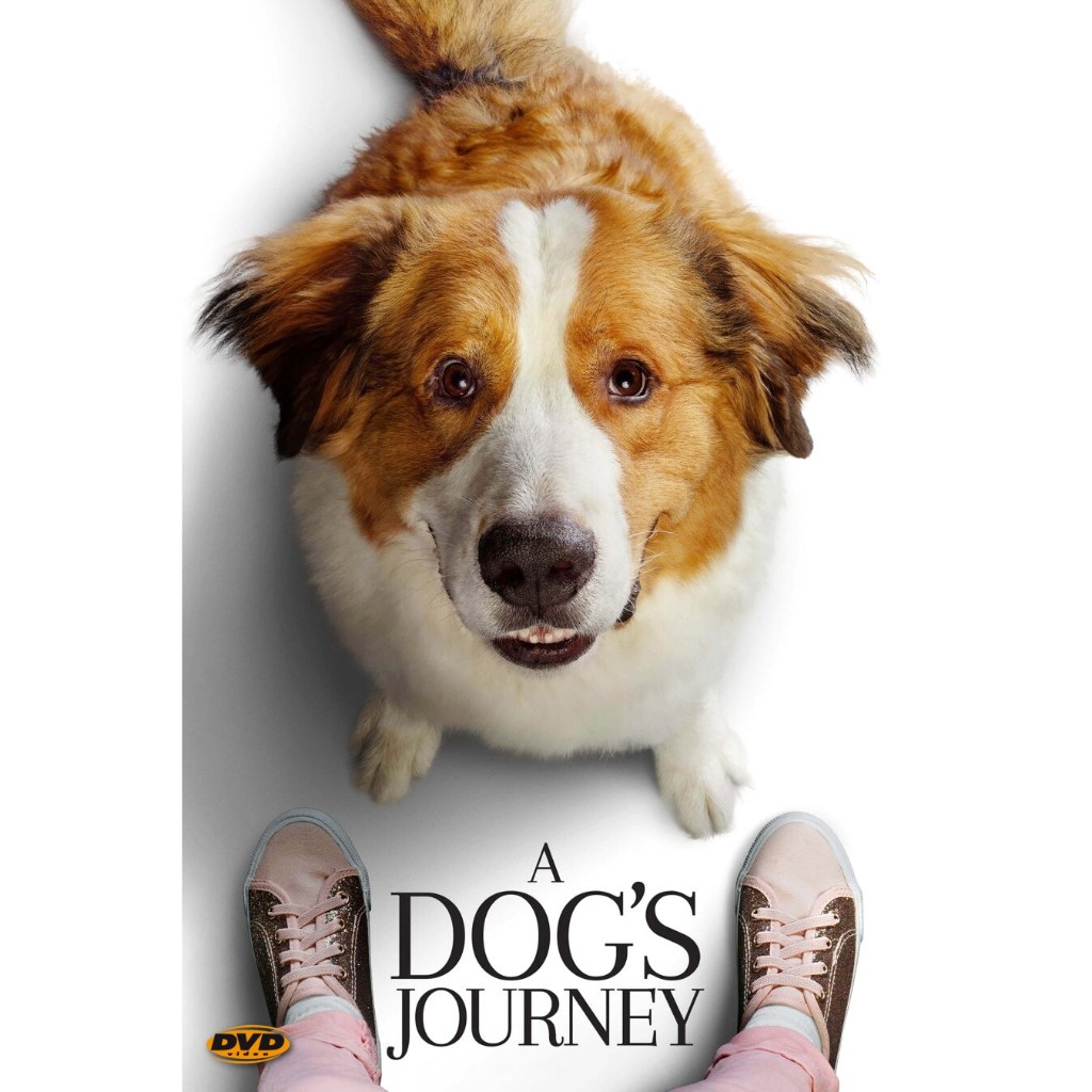 DVD หนังใหม่ A Dog's Journey หมา เป้าหมาย และเด็กชายของผม 2 มีเสียงไทย
