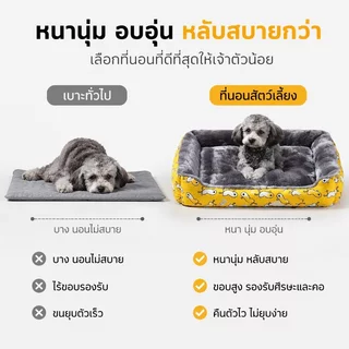 ที่นอนสุนัขพันธุ์เล็ก ที่นอนแมว เบาะนอนแมว 3 ขนาดนุ่ม สบาย ที่นอนสัตว์เลี้ยง pet mat ที่นอนหมา