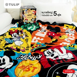 Tulip Fleece 60x80 นิ้ว ลาย PF008 มิกกี้เมาส์ Mickey Mouse ลิขสิทธิ์แท้ดิสนีย์ Disney ผ้าห่มฟลีซขนาดใหญ่ 5 ฟุต