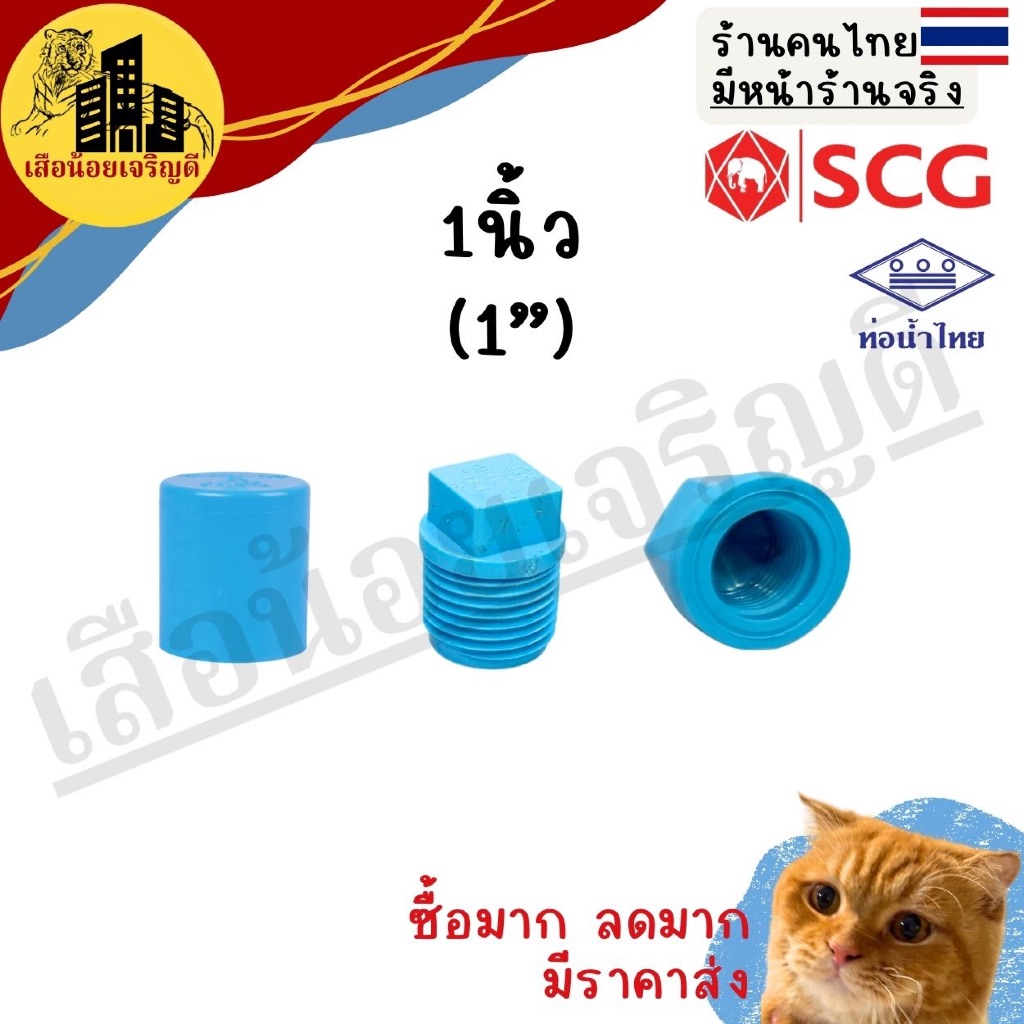 ฝาครอบ ท่อ PVC ฝาปิดท่อ  ขนาด 1นิ้ว ตราSCG ตราท่อน้ำไทย ฝาครอบหนา อุด เกลียวใน-นอก